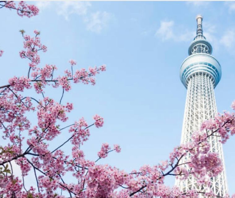 Tokyo Private Tour: Customizable (Up-To 6 Persons) - Key Points