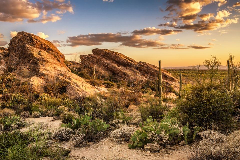 Tucson: Mt Lemmon & Saguaro NP Self-Guided Bundle Tour - Key Points