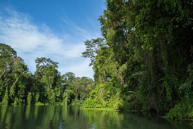 Turtle Nesting Night Tour in Tortuguero - Key Points