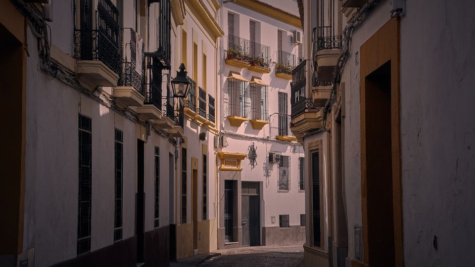 Valencia - Private Historic Walking Tour - Key Points