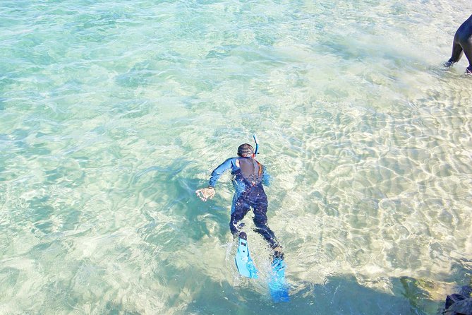 Wave Break Island Snorkel Tour on the Gold Coast - Key Points
