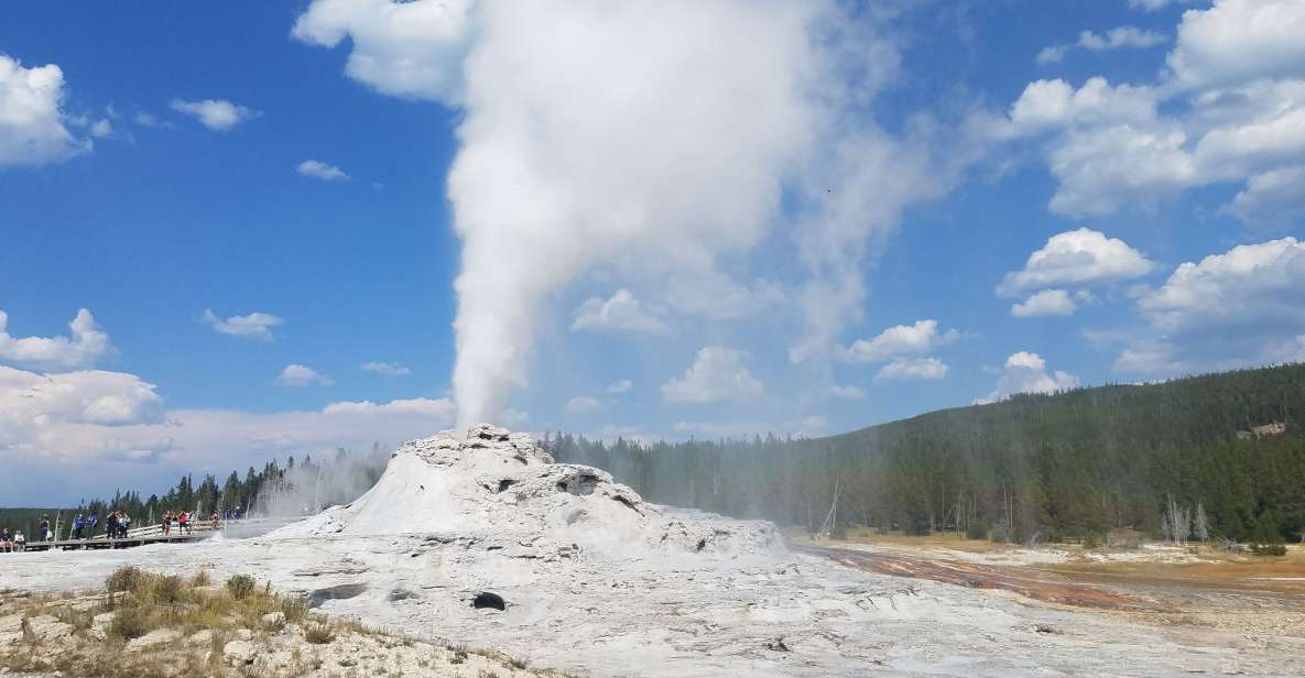 Yellowstone: Upper Geyser Basin Guided and Audio Tour - Key Points