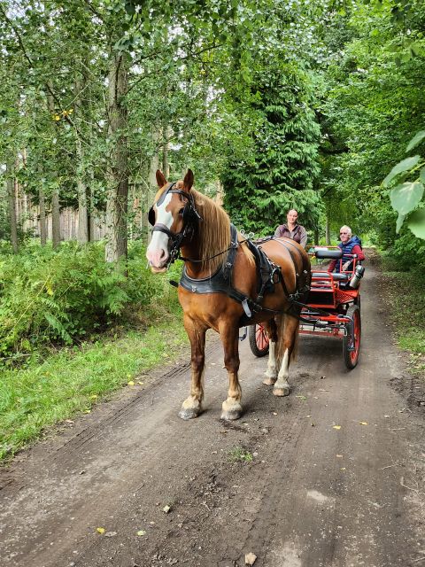 York: Horse Drawn Carriage Ride Around the Countryside York - Key Points