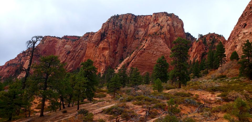 Zion National Park - Kolob Terrace: 1/2 Day Sightseeing Tour - Key Points