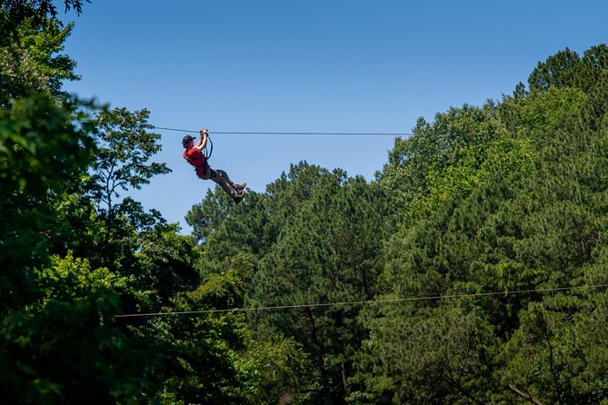 Ziplining and Climbing at The Adventure Park at Virginia Aquarium - Key Points