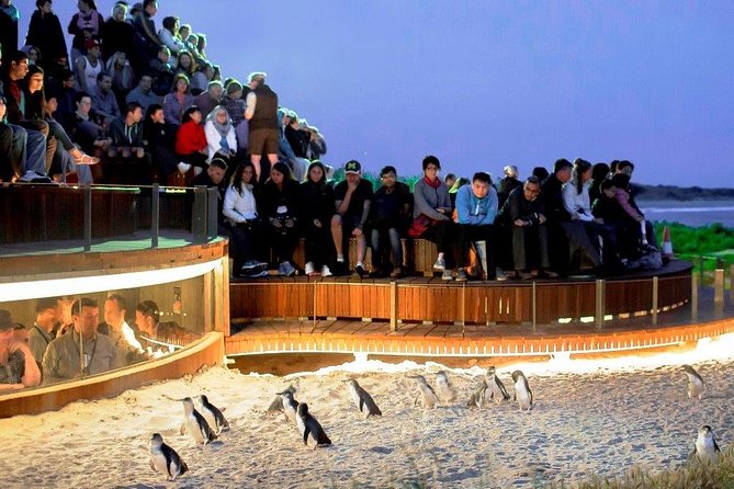 1 Day Exclusively Private Tour Of Phillip Island & The Penguin Parade - Meeting and Pickup Details