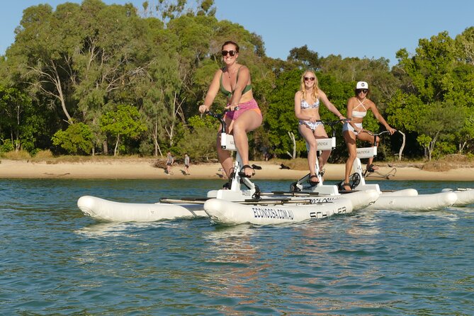 1 Hour Self Guided Water Bike Tour of the Noosa River