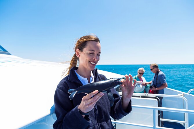 2 Hour Whale-Watching Cruise