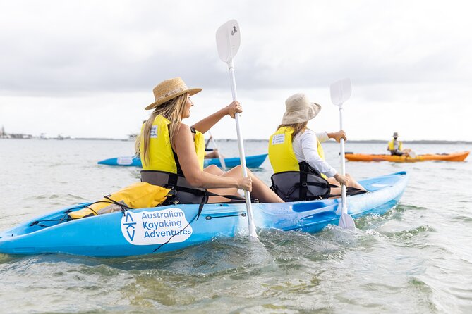 2 Hours Dolphin Kayaking & Snorkeling Tour on the Broadwater