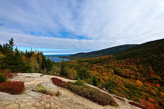 Acadia Full Day Small Group Tour - Tour Logistics