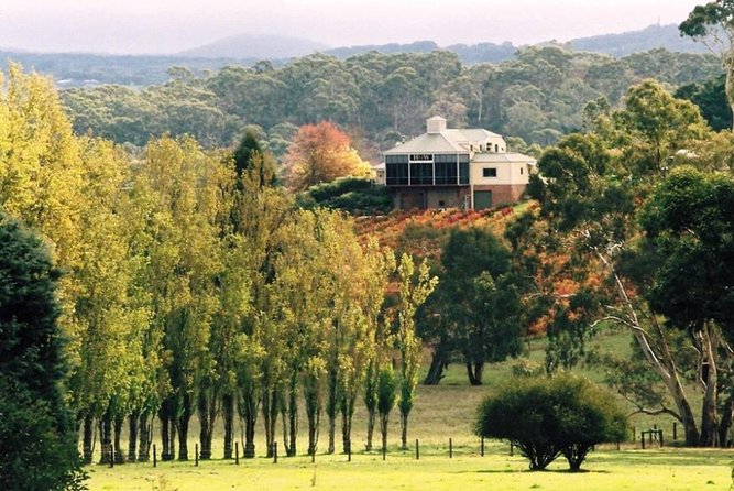 Adelaide Hills Full Day Winery Tour With Tastings