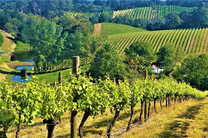 Adelaide Hills Private Day Tour - Tour Highlights and Features