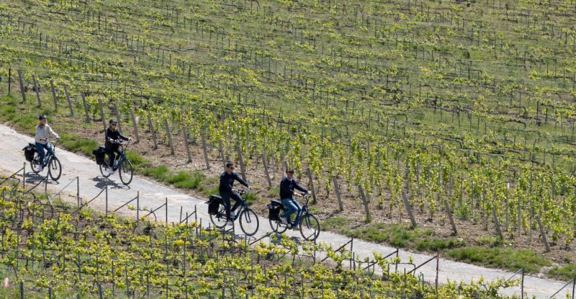 Afternoon E-Bike Champagne Tour From Reims - Duration and Group Size