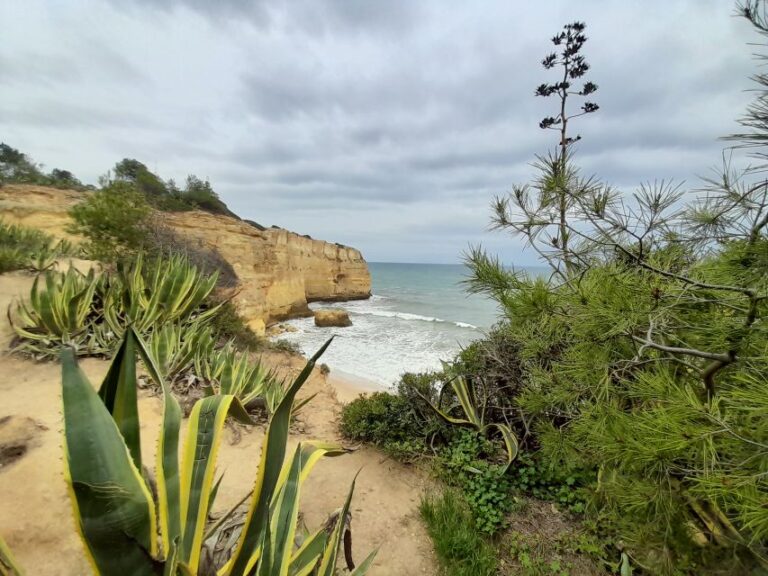 Albufeira: Silves Castle, Marinha Beach, and Benagil