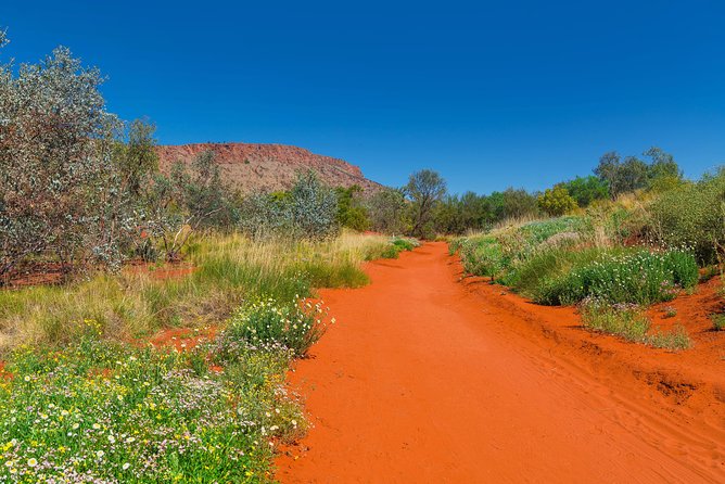 Alice Springs Desert Park General Entry Ticket - Ticket Details and Accessibility