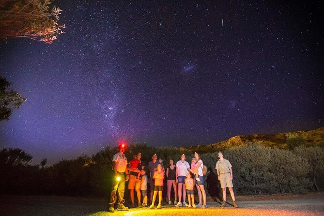 Alice Springs Desert Park Nocturnal Tour