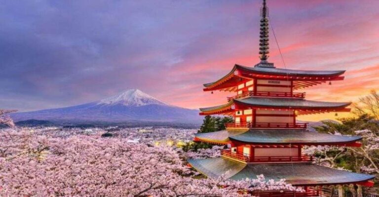 Alpha Japan With Mt.Fuji