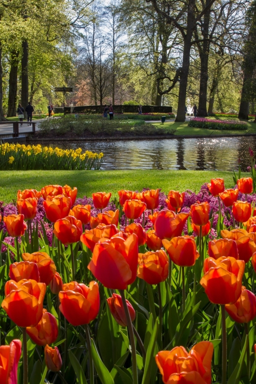 Amsterdam: Tour to Keukenhof Gardens With Windmill Cruise