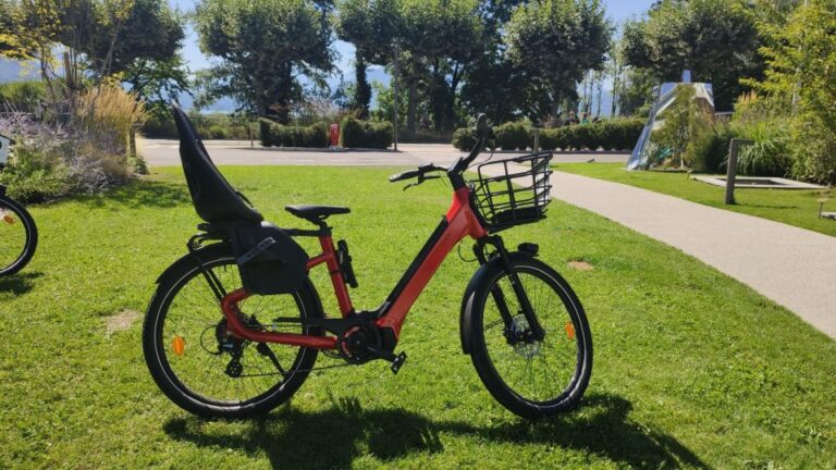 Annecy-le-Vieux, France: Electric and Muscle Bike Rentals