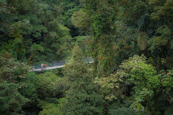 Arenal Hanging Bridges Hiking Tour - Tour Activities