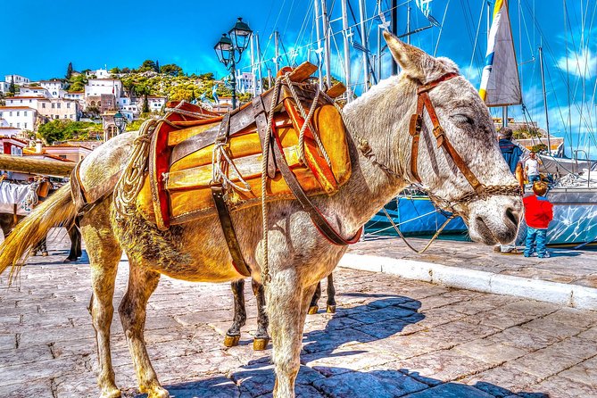 Athens: 1-Day Cruise to Poros, Hydra & Aegina Islands With Lunch