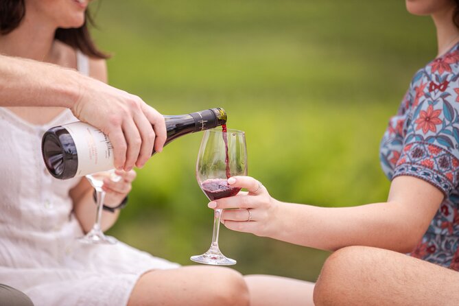 Audrey Wilkinson Vineyard: Picnic With Wine Masterclass Tasting