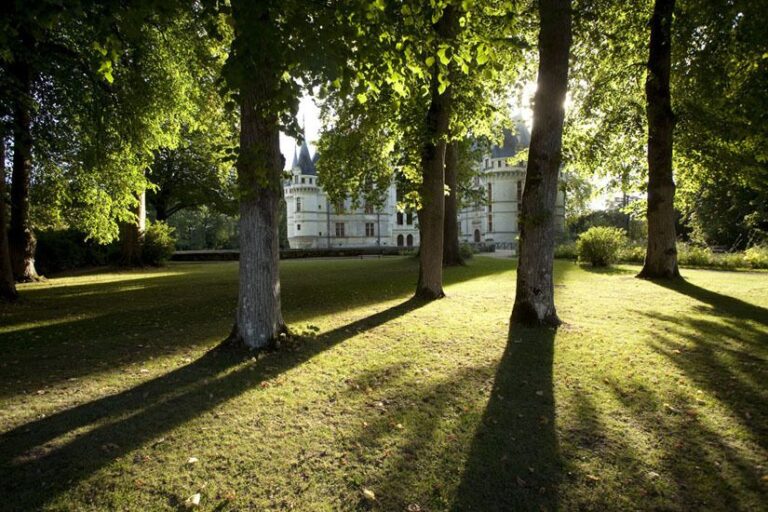 Azay-Le-Rideau Castle Entrance Ticket