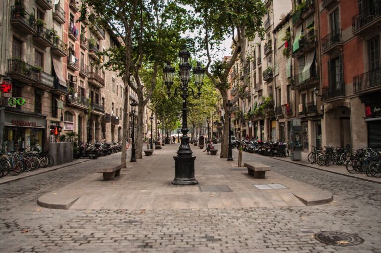 Barcelona: 4-Hour Private Picasso Museum & Walking Tour