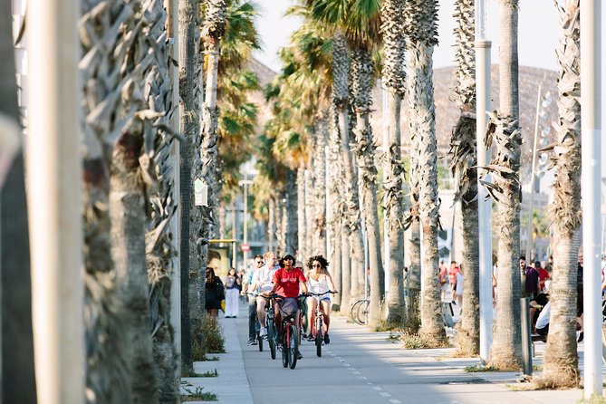 Barcelona Half Day Bike Small Group Tour