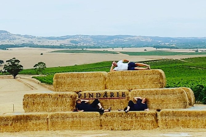 Barossa Wine Tasting Shared Tours - Tour Itinerary Highlights