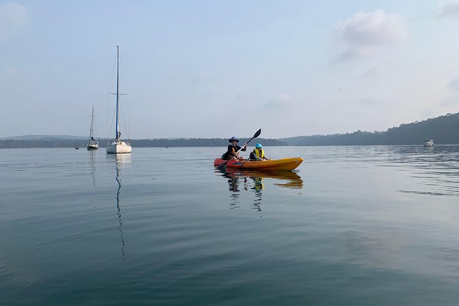 Batemans Bay Glass-Bottom Kayak Tour Over 2 Relaxing Hours - Tour Highlights and Inclusions