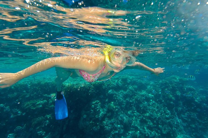 Beach Hopper Snorkeling Tour in Los Cabos - Tour Highlights