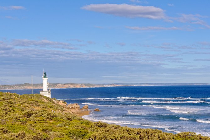 Bellarine Peninsula Small Group Wine Tour With 2 Course Lunch