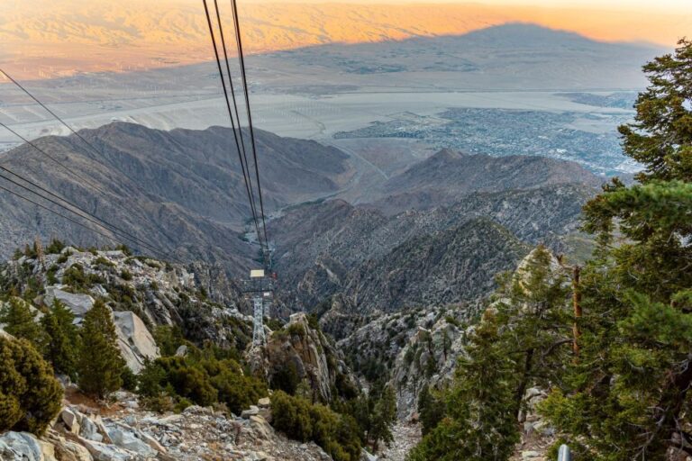 Best of Palm Springs Small Group Tour W/ Aerial Tram