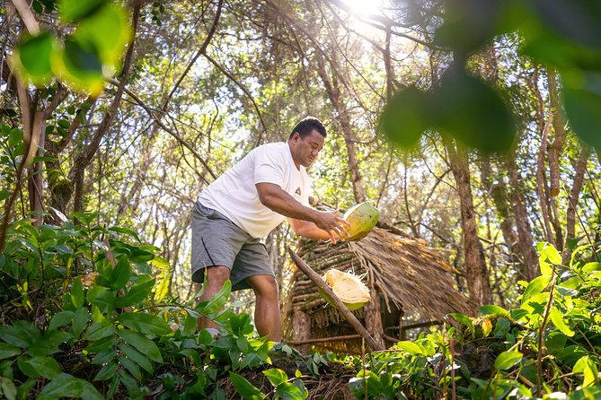 Big Island 2-Hour ATV Tour and Polynesian Villages Experience  – Big Island of Hawaii