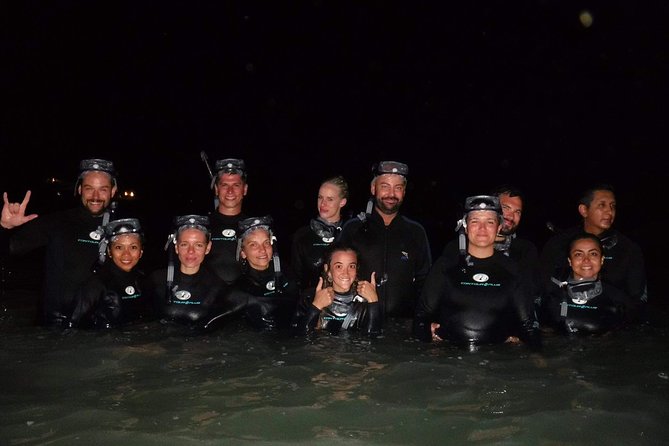 Bioluminescence Experience in Holbox - Bioluminescence Phenomenon Explained