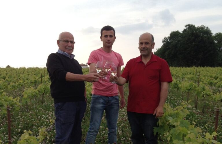 Bois-Huaut Castle: Cellar Tour and Wine Tasting Class