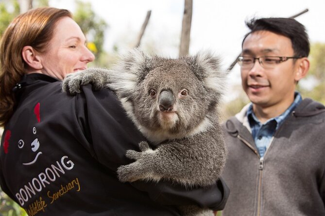 Bonorong Wildlife Park and Richmond Afternoon Tour From Hobart - Wildlife Encounters at Bonorong