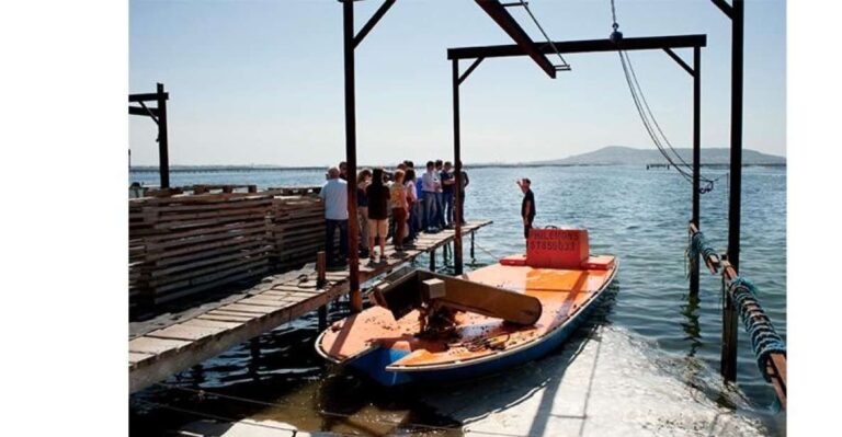 BOUZIGUES: GUIDED TOUR AND TASTING AT AN OYSTER FARM