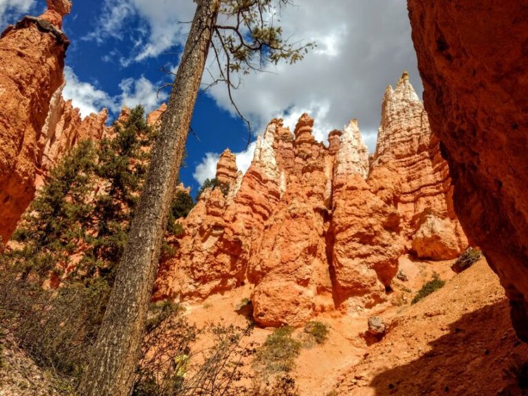 Bryce Canyon National Park Hiking Experience