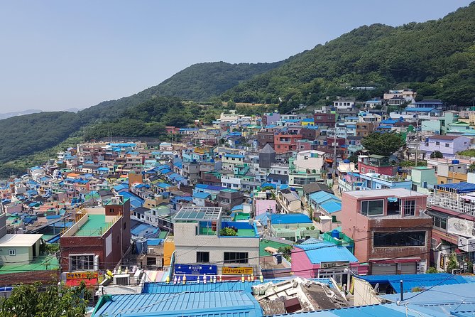 Busan Tour With Gamcheon Culture Village - What to Expect on Tour