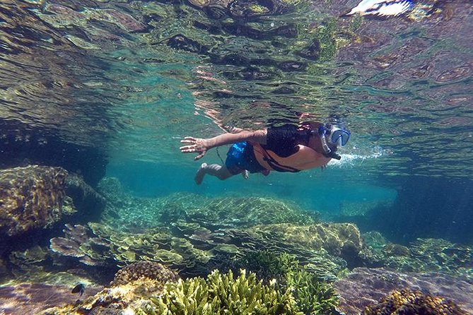 Cabo Pulmo National Park Snorkel Expedition From Cabo San Lucas