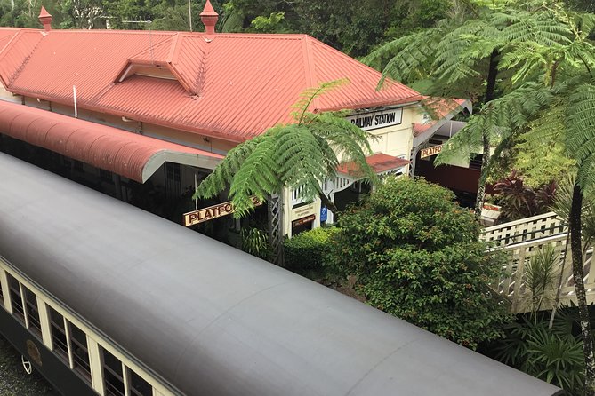 Cairns City Tour - Exploring Cairns Citys History