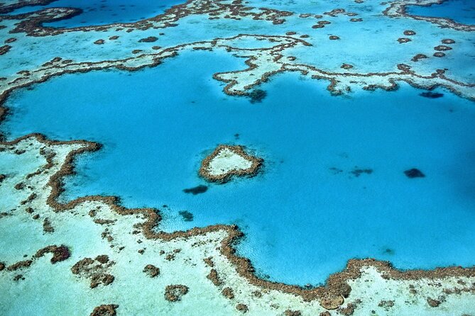 Cairns, Great Barrier Reef & Rainforest 7 Day Tour.