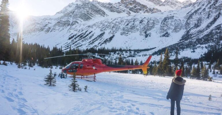 Canadian Rockies: Abraham Lake Ice Bubbles Helicopter Tour