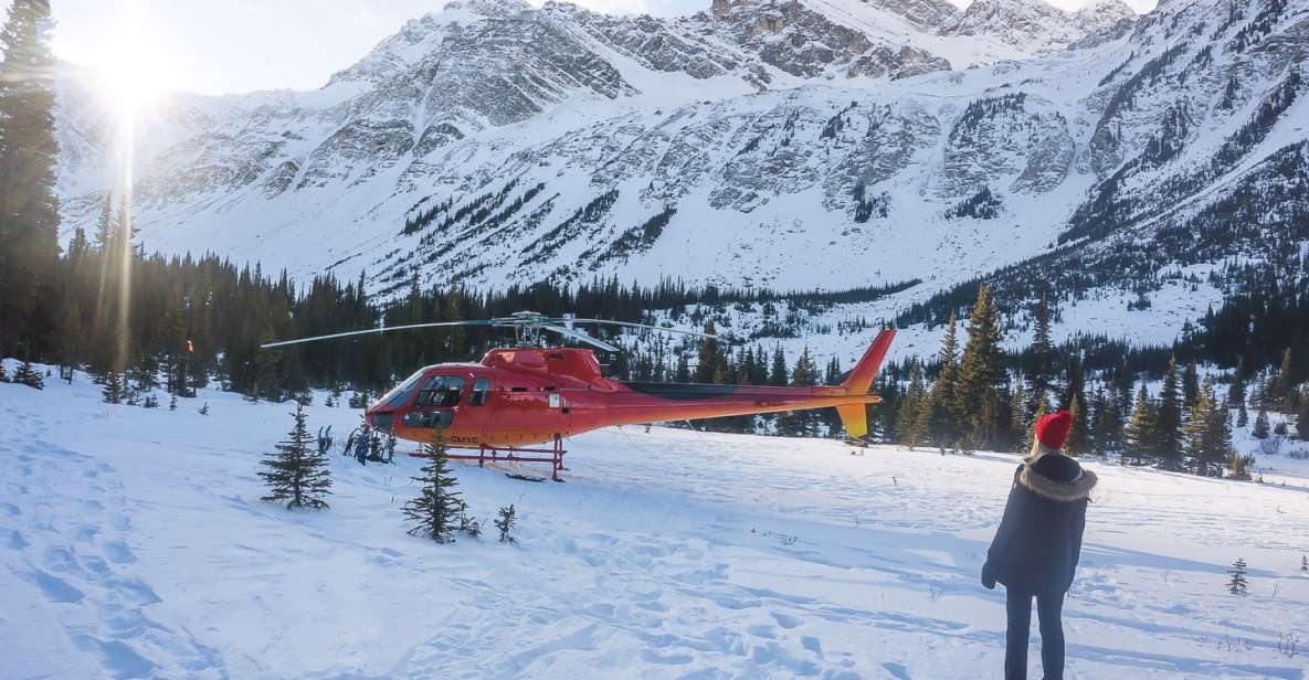 Canadian Rockies: Abraham Lake Ice Bubbles Helicopter Tour - Tour Details