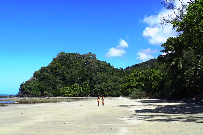 Cape Tribulation Day Tour From Cairns - Tour Highlights and Features