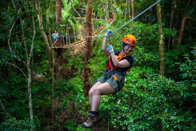 Cape Tribulation & Ziplining: Ultimate Daintree - Wildlife Spotting River Cruise