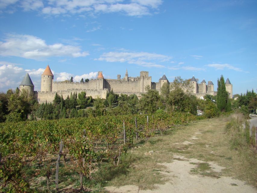 Carcassonne & Cathar Country: Alet Le Bains, Camon, Mirepoix - Tour Highlights