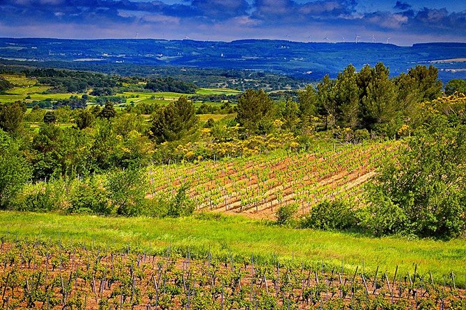 Carcassonne Overnight Vineyard Stay With Wine Tasting, Dining  - France - Tour Highlights